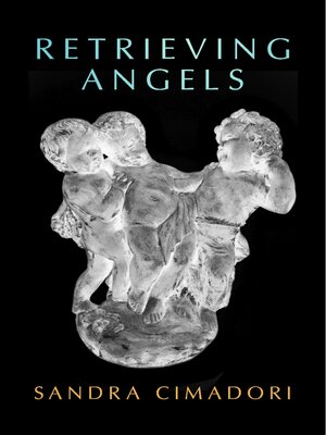 cover image of Retrieving Angels